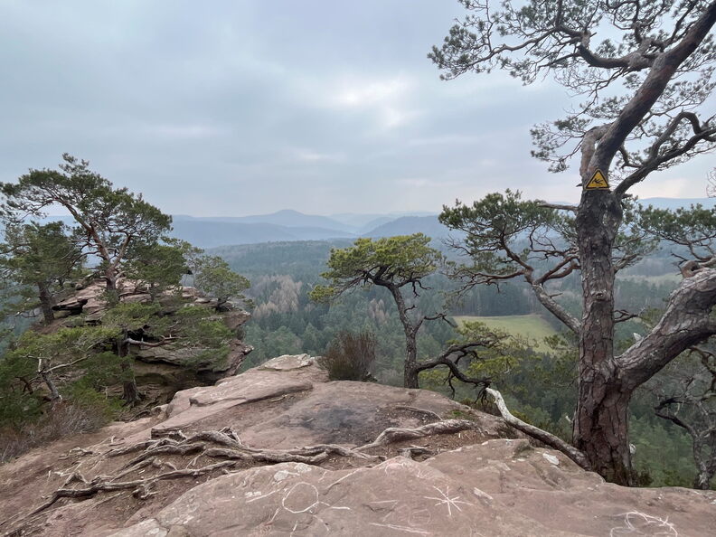 23-03-04 14-25-05 4716